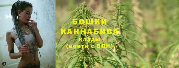ГАЛЛЮЦИНОГЕННЫЕ ГРИБЫ Арсеньев