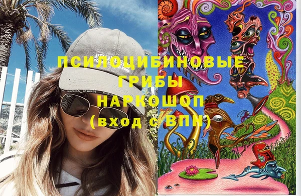 крисы Армянск